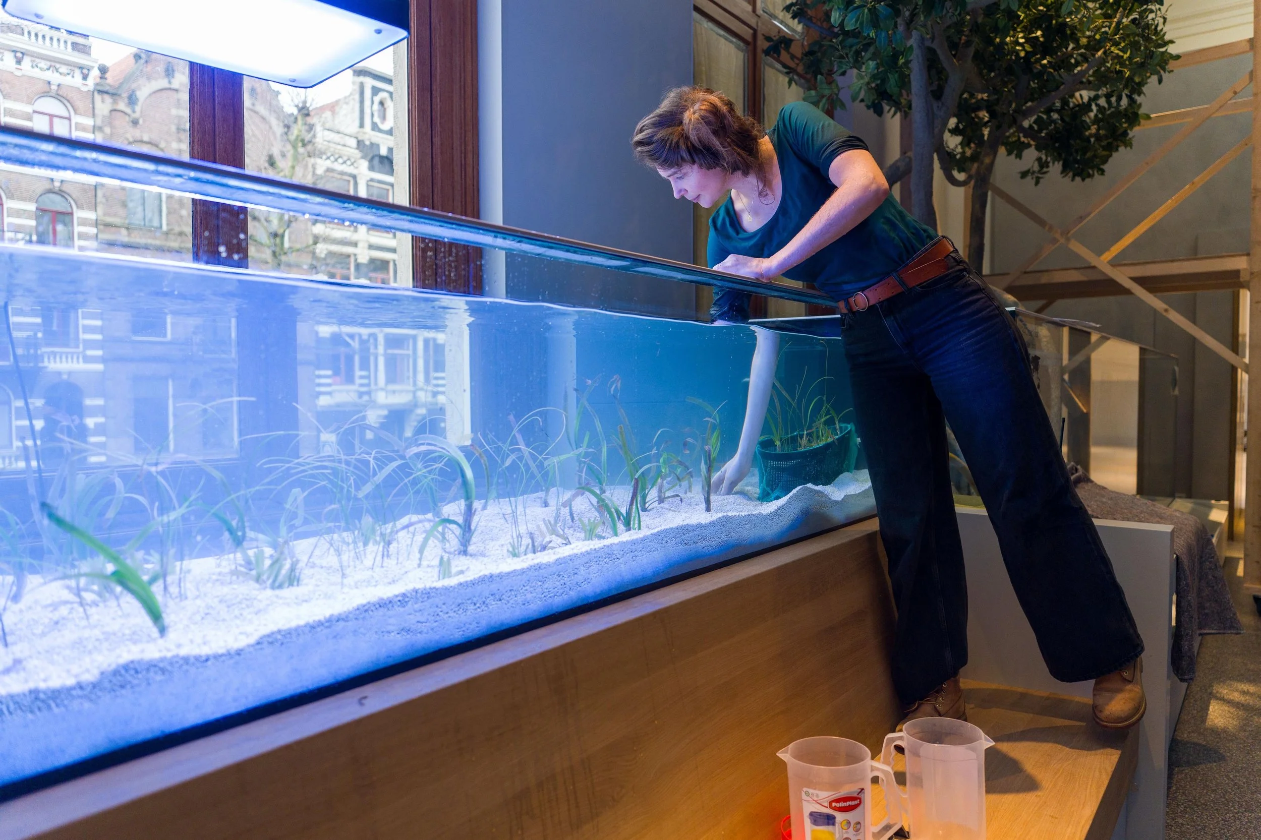 09ee9e5d-4358-46d3-af16-8e9b103e62bc 3 (3).JPG