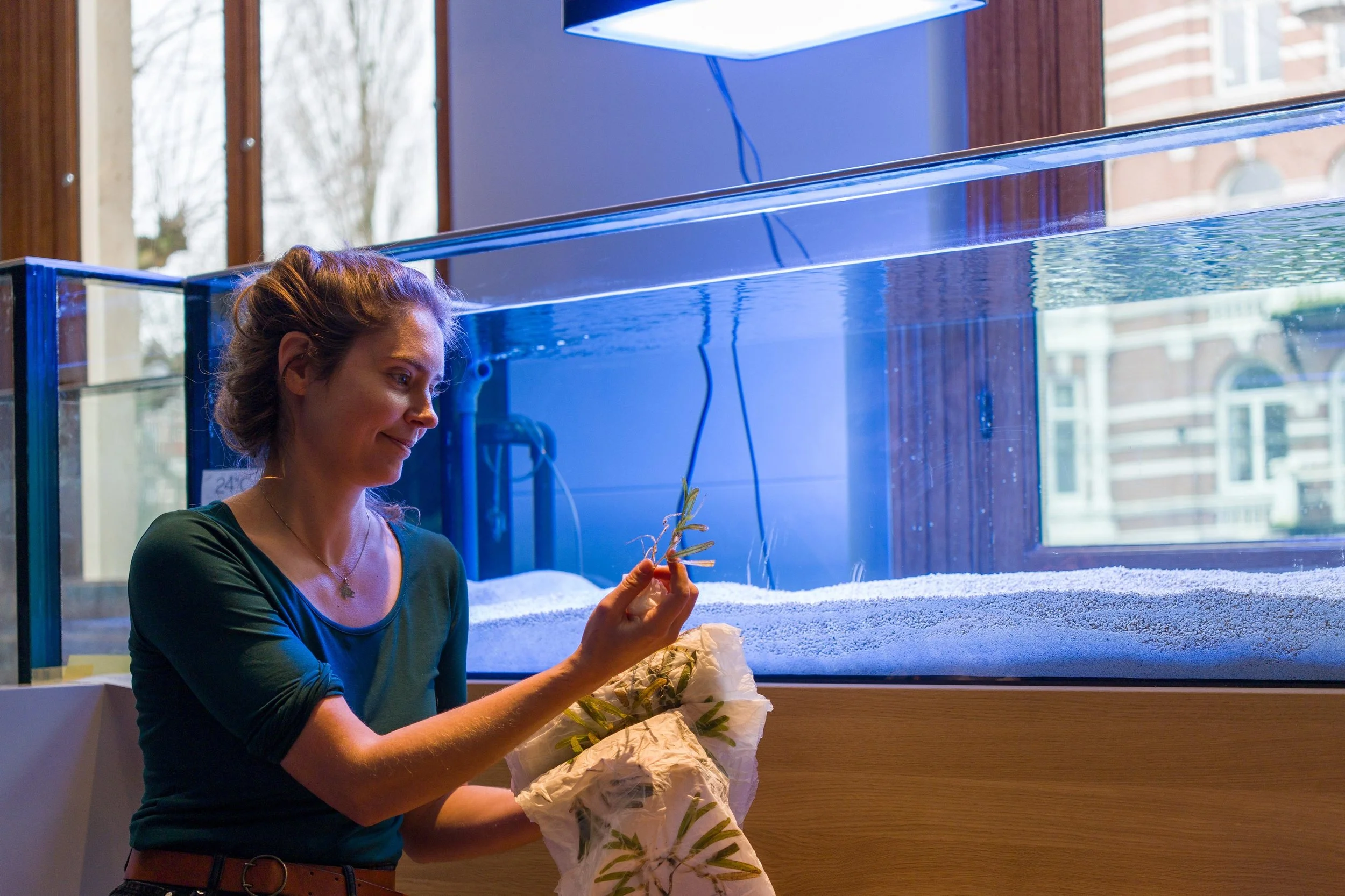 3c765599-05a6-43c2-93a1-a64549355253 3 (1).JPG