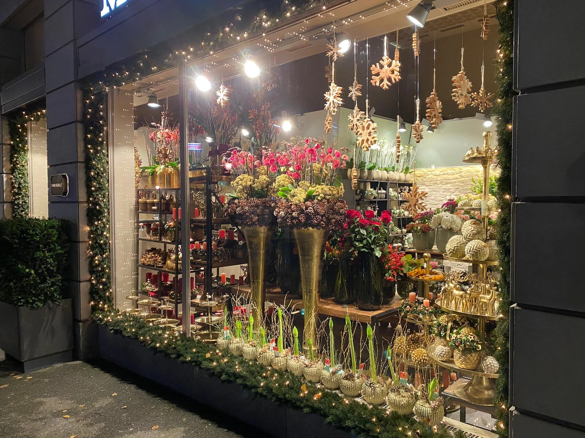 Weihnacht und Advent