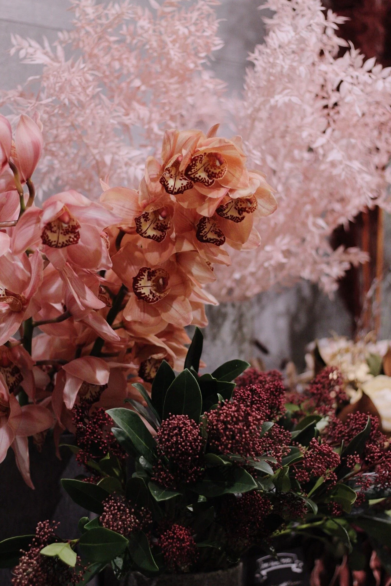 Prachtvolle Orchideen