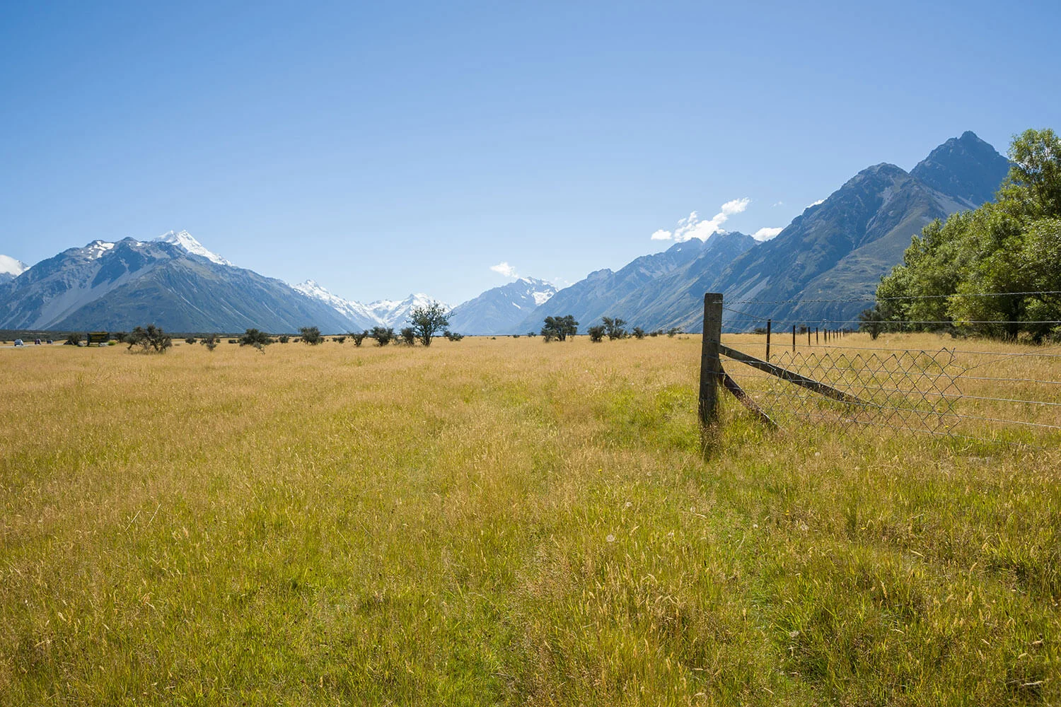 Euthanasia boundaries are an illusion - the Dutch example