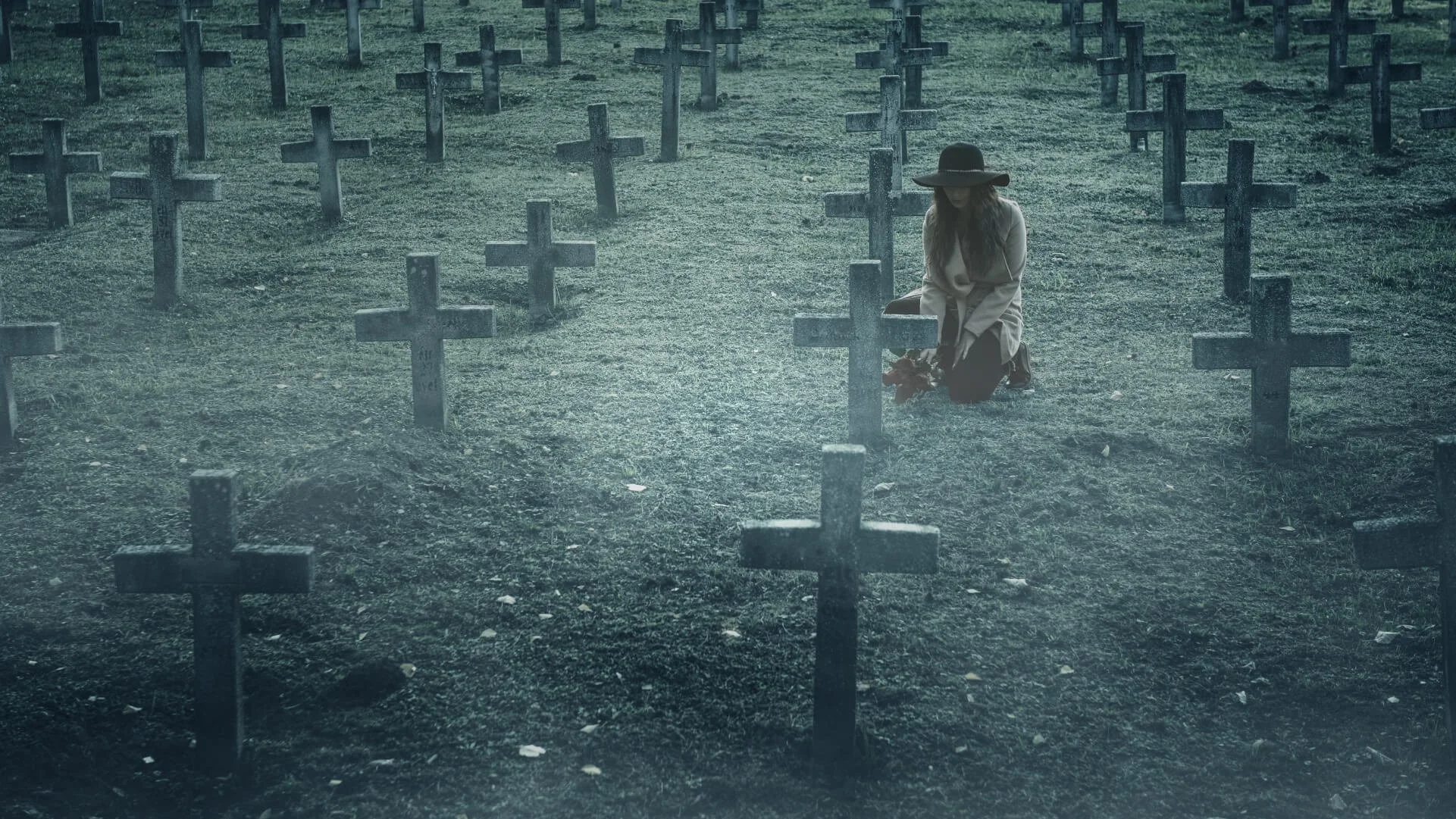 EXCLUSIVE: New reports reinforce the urgent need for amendments to the End of Life Choice Act