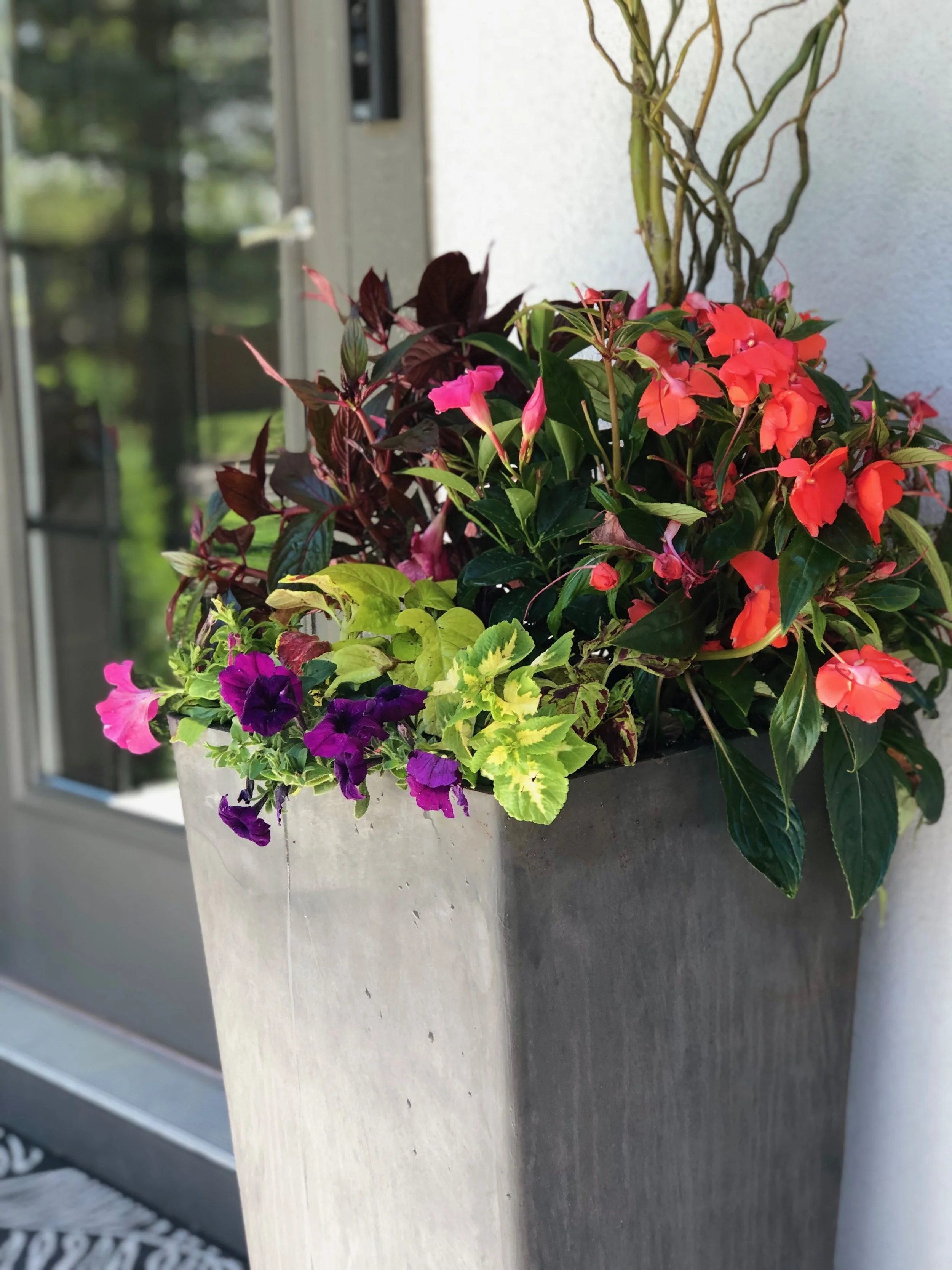 Summer Container Photo 4.jpg