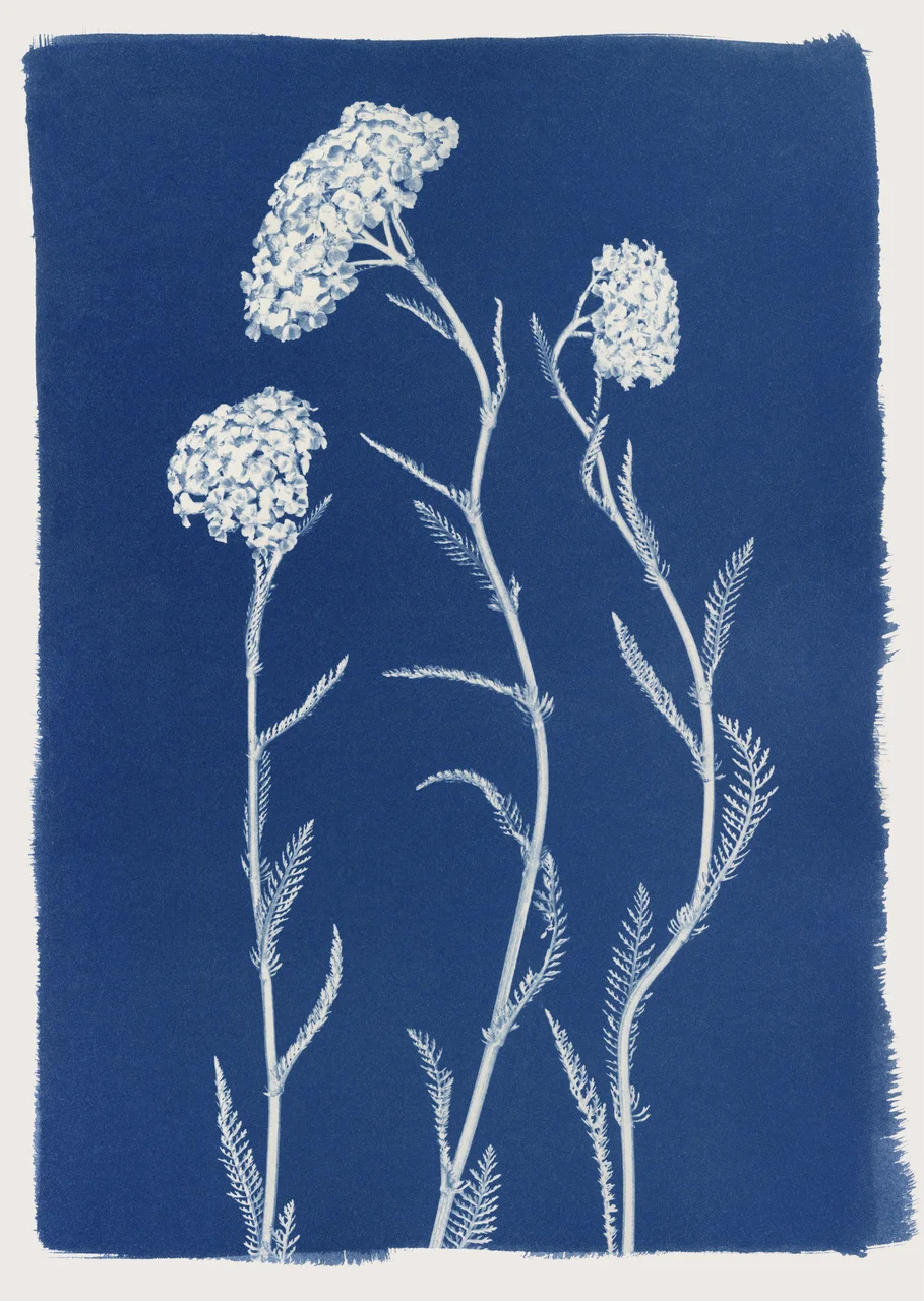 Henrietta Molinaro - Private Collection