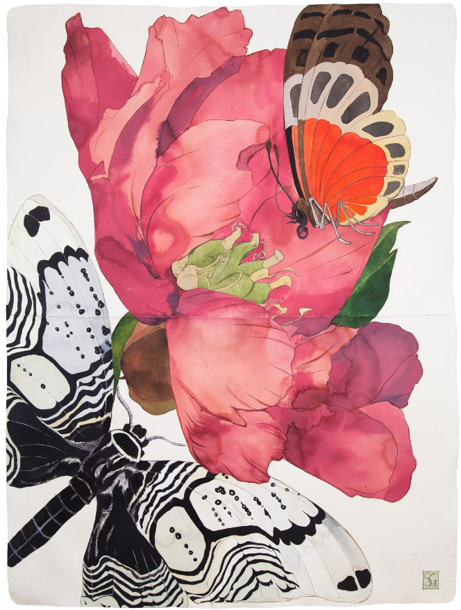 Sarah Graham - Private Collection
