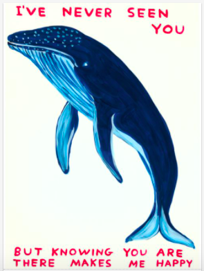 David Shrigley - Private Collection