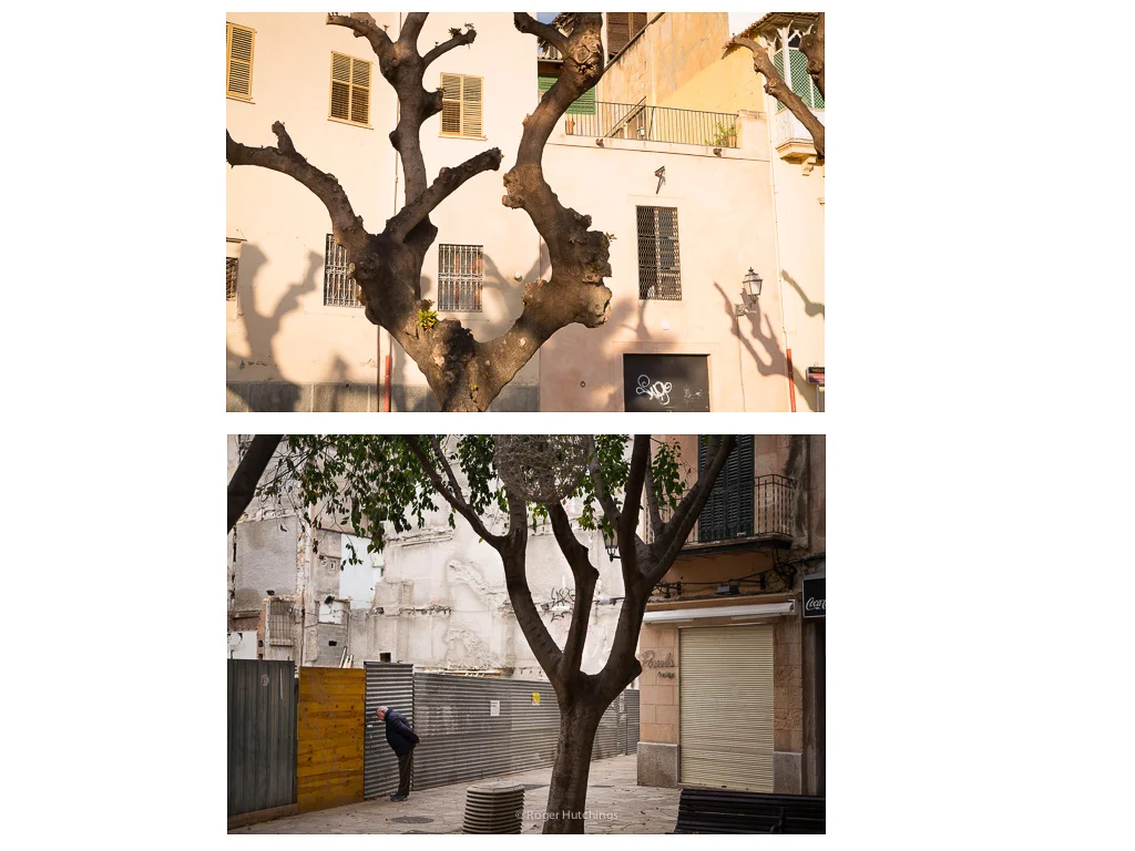 Zeitline # Palma, 2015
