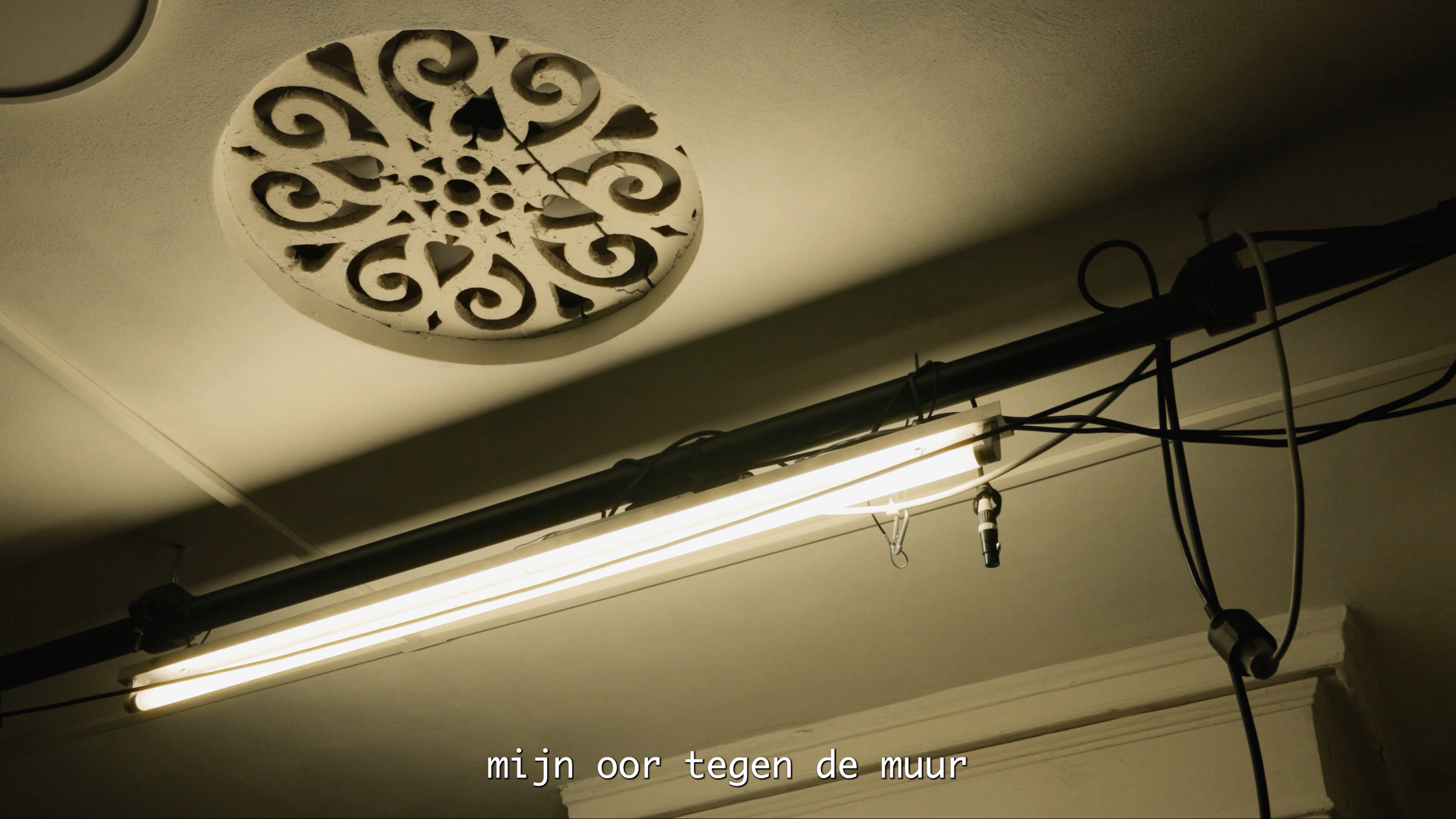 foto 1.png