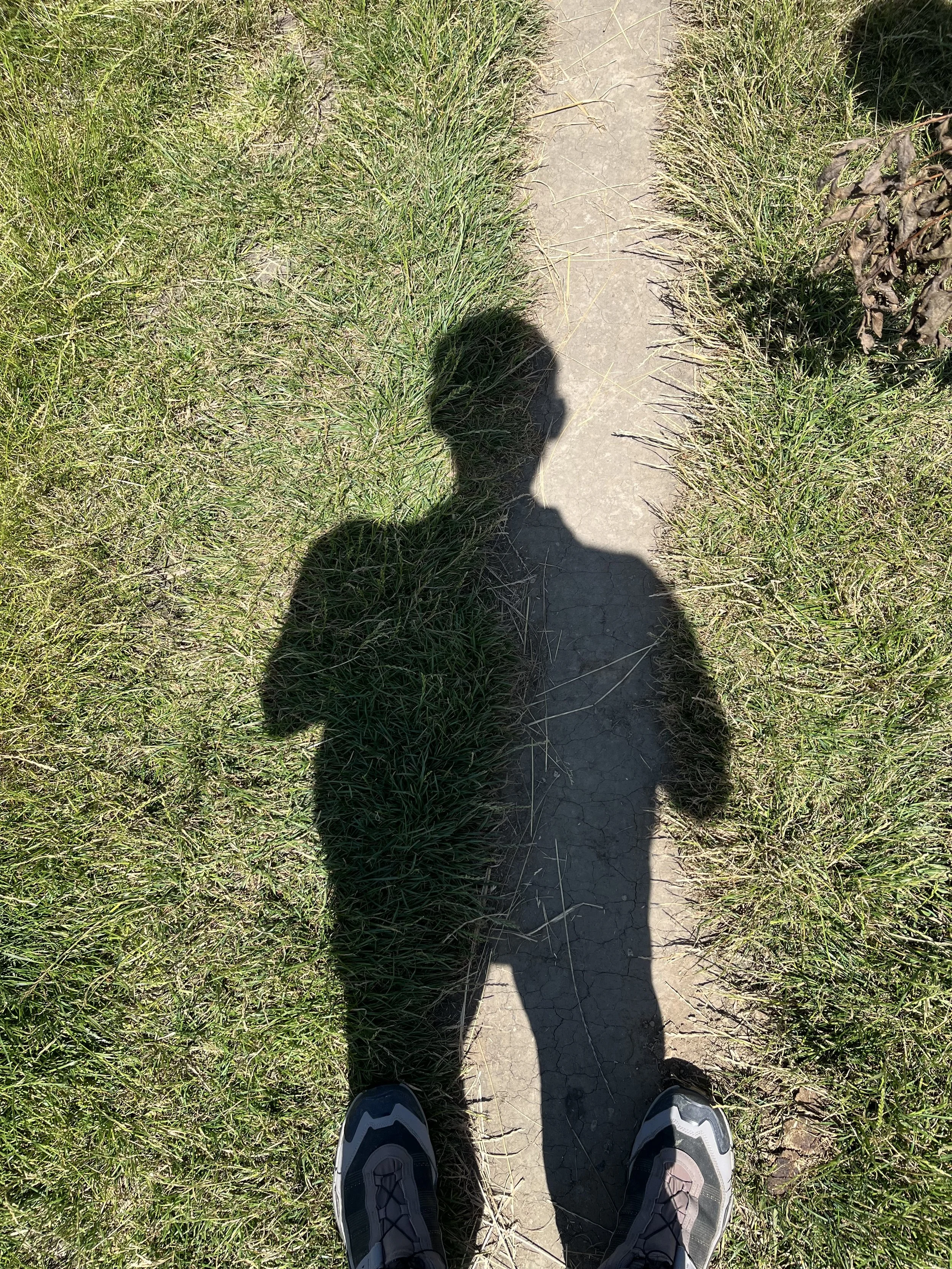 IMG_2519.jpeg