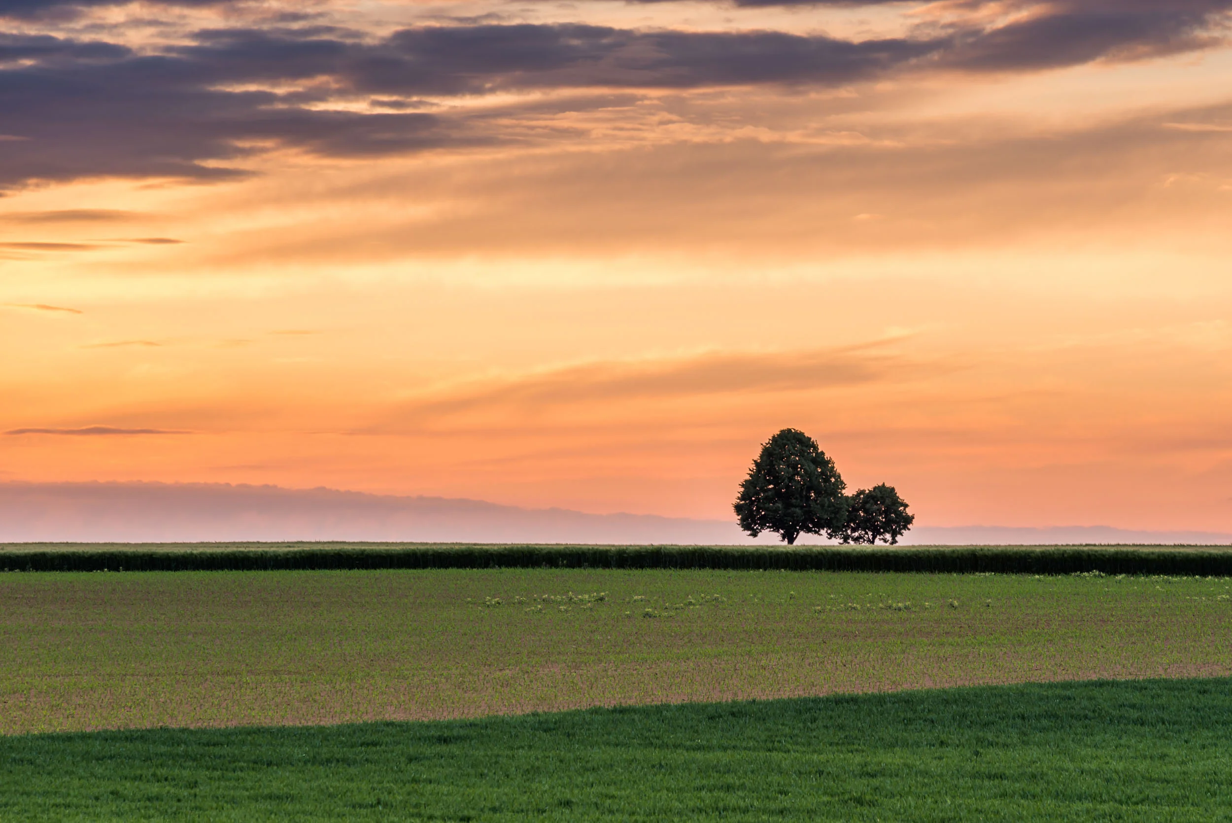 DSC_2292-3.jpg