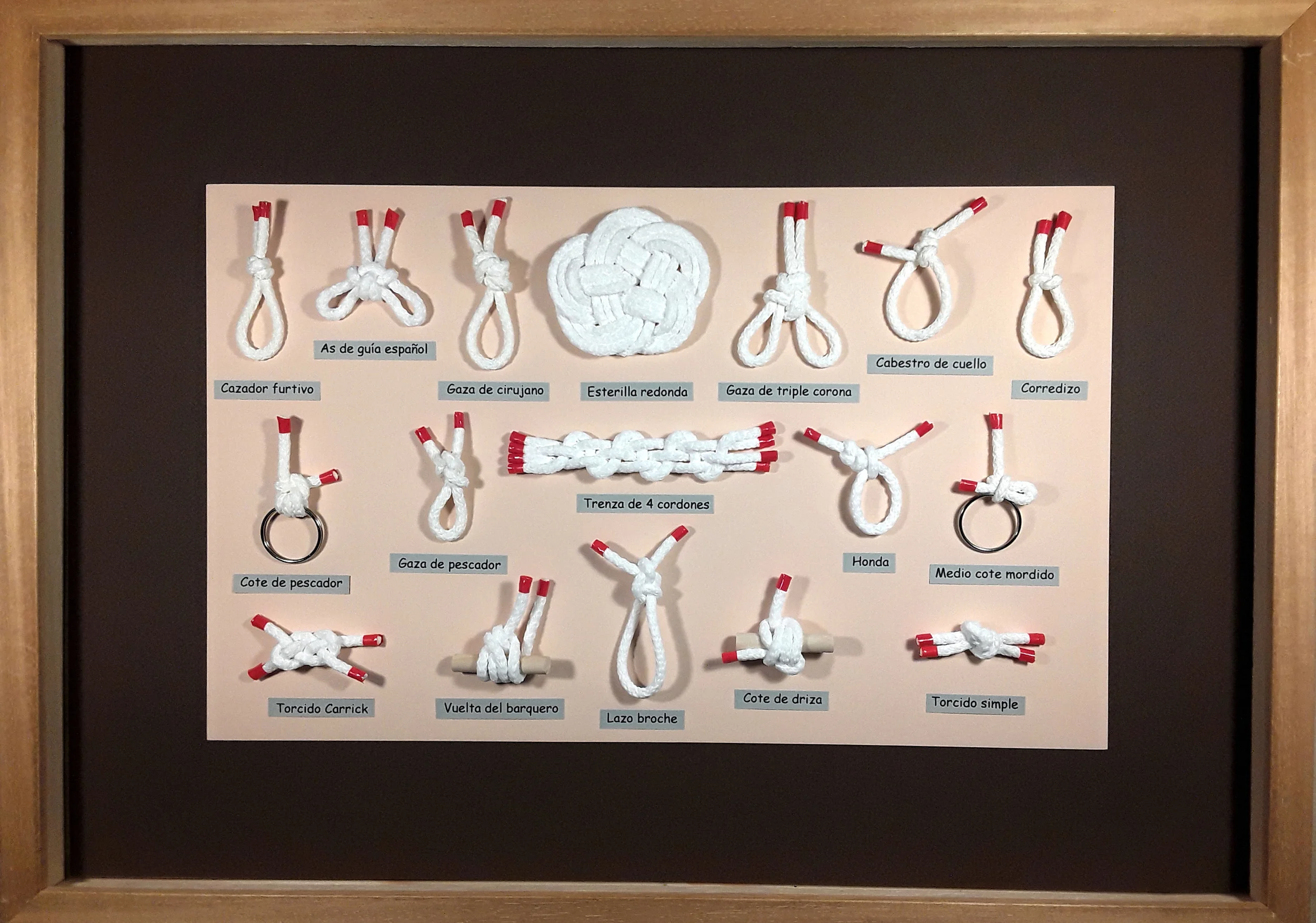 CUADRO DE NUDOS REFUGIO 504