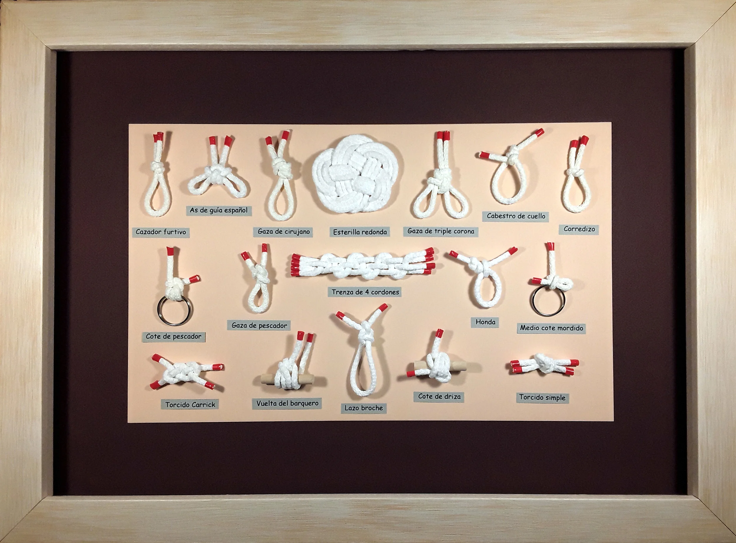 CUADRO DE NUDOS REFUGIO 514