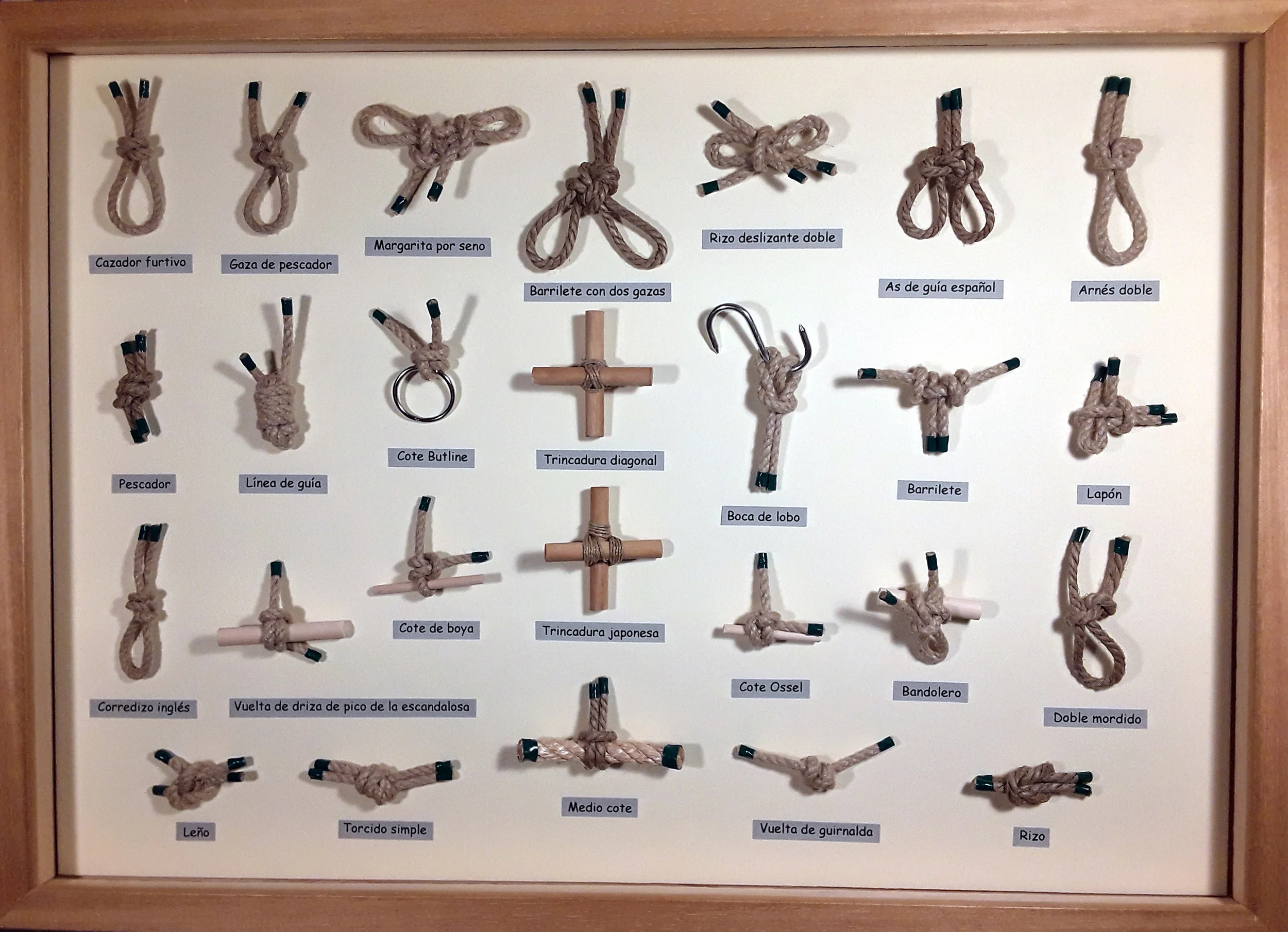 CUADRO DE NUDOS BREZO 804