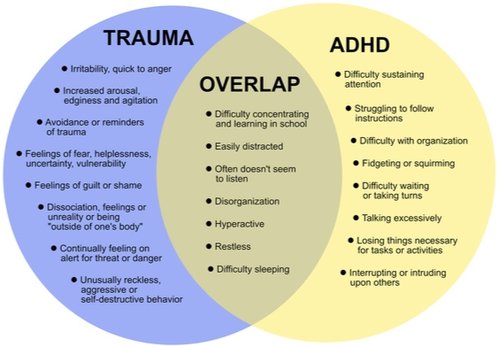 Bully on Lucky For You and working well with others with ADHD