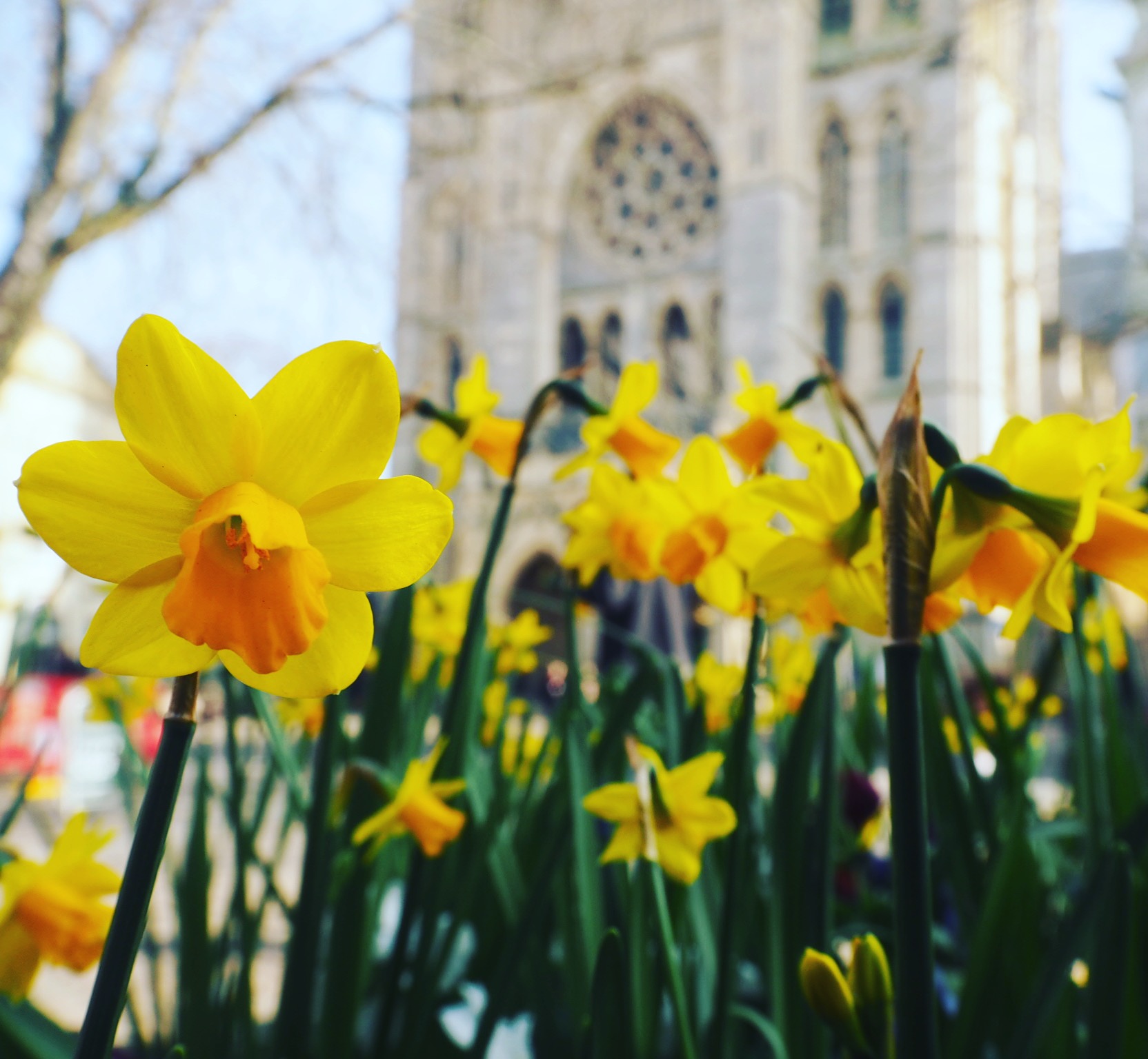 Welcome to the New Look Secret Truro