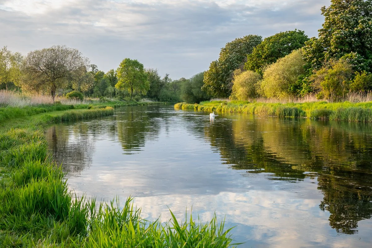 Summer Evening on the Test at Fullerton_©Ed_Crispin.jpg