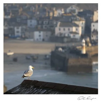 001 - Overlooking St Ives.JPG