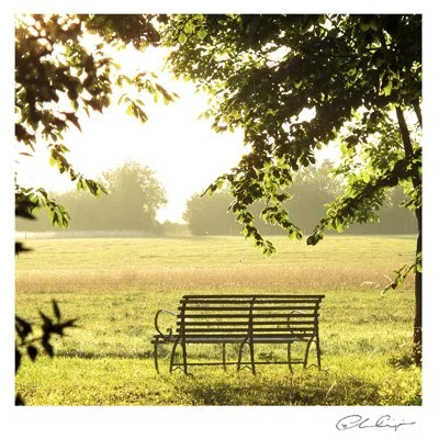 037 - The bench in the sun.JPG