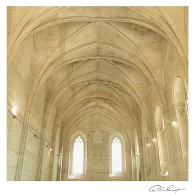 041 - Contemplation.JPG