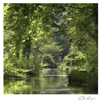 058 - Test stream.JPG