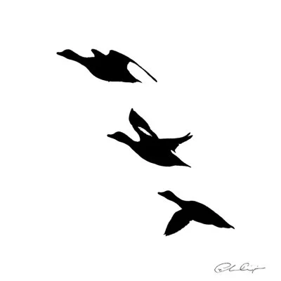 061 - The silhouette flight.JPG