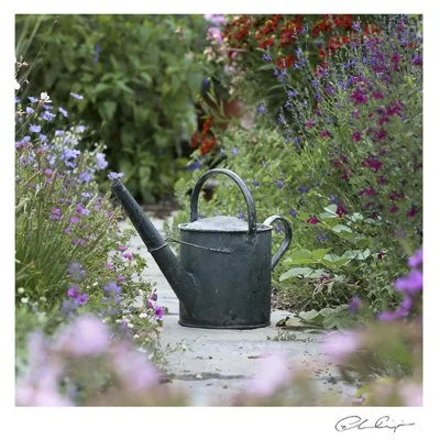 085 - The Watering Can.JPG