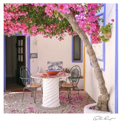 104 - Bougainvillia.JPG