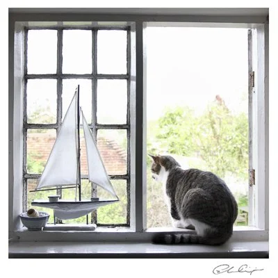 111 - The cat and the boat.JPG