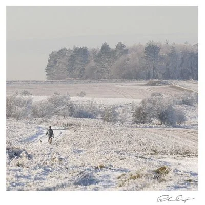 141 - Icy dog walk.JPG