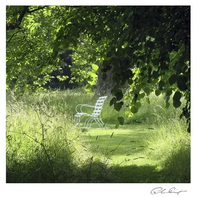 138 - The summer bench.JPG