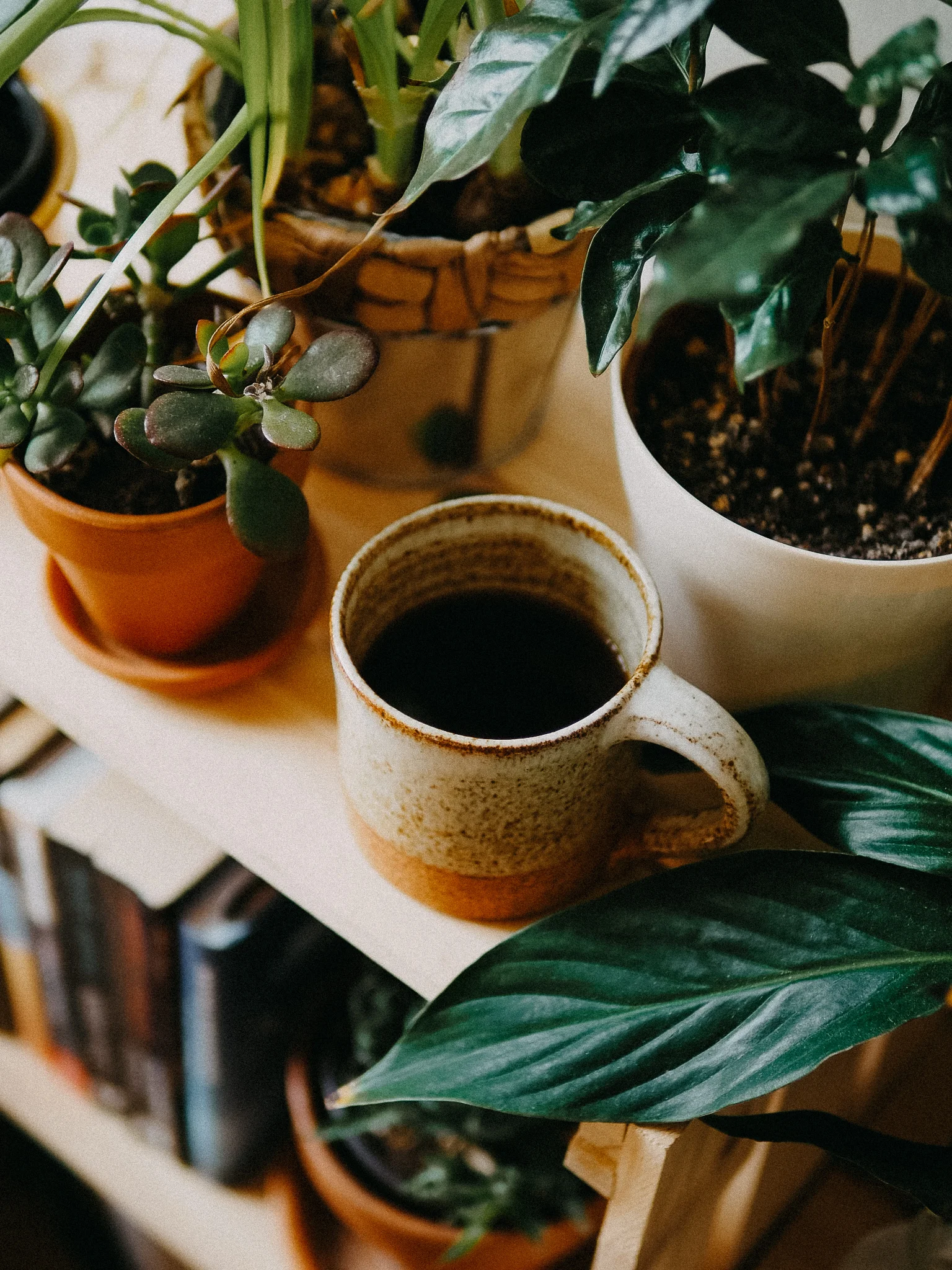 Fotka s LKO preset
