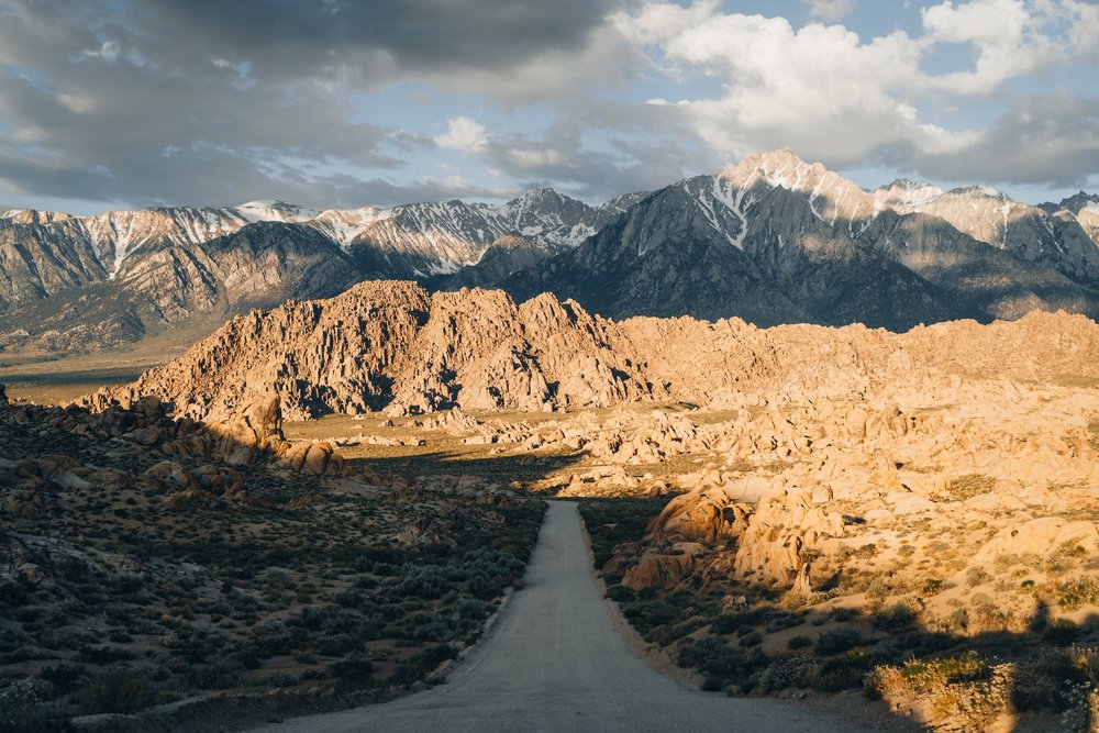 Exploring the Best States to Own Rental Property