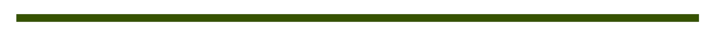 Green Accent Bar
