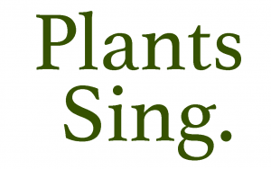 brigidsway-com-plants-sing-300x188.png