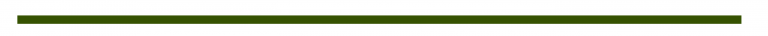 brigidsway-com-green-accent-bar-768x36.png
