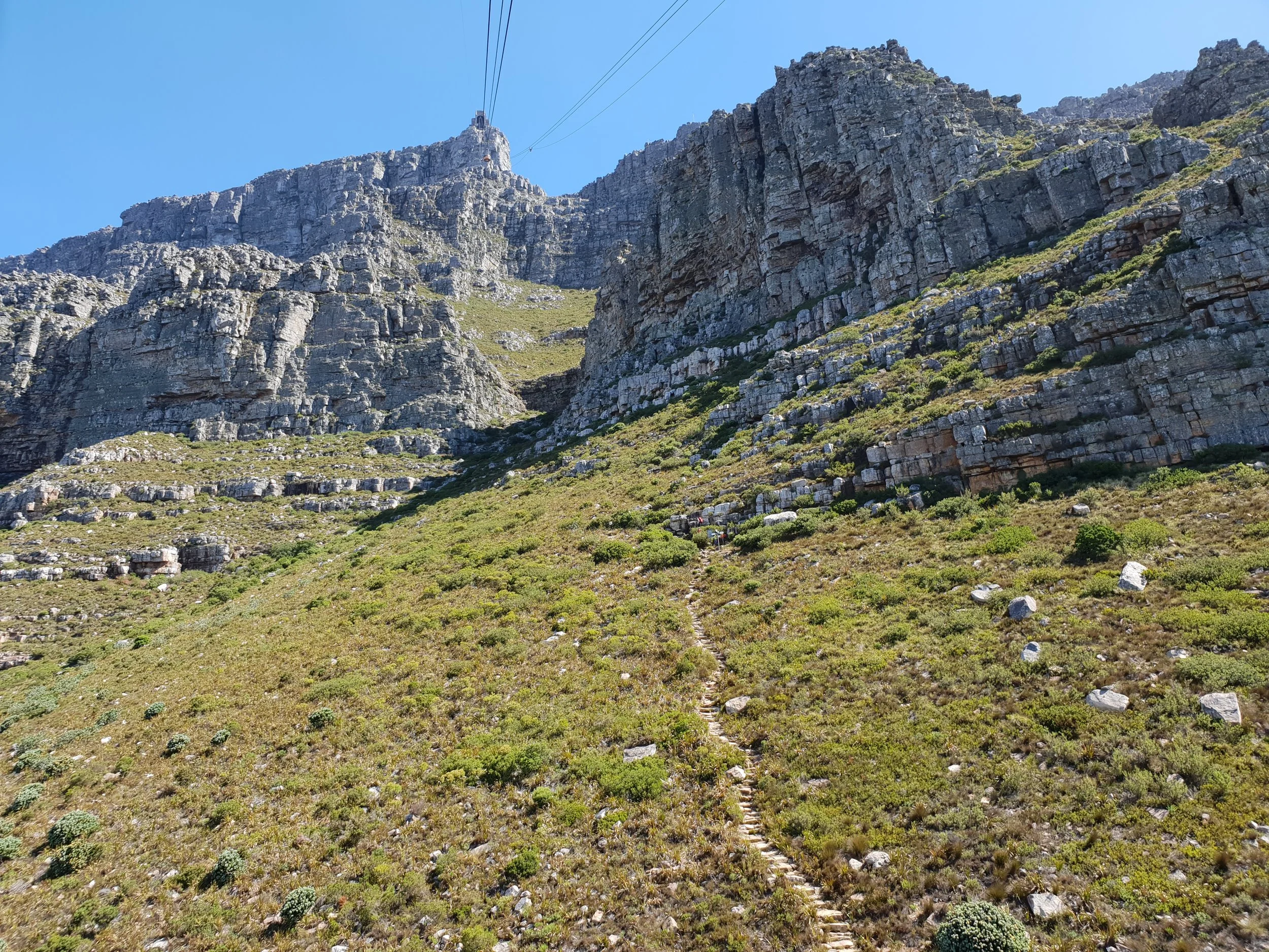 Go up Table Mountain- Hike or take the cablecar