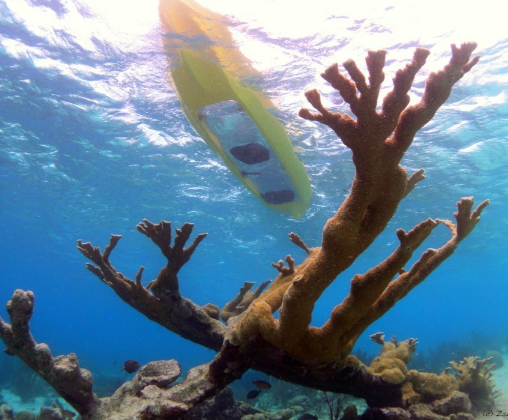 Image by ‘Windows to the sea’