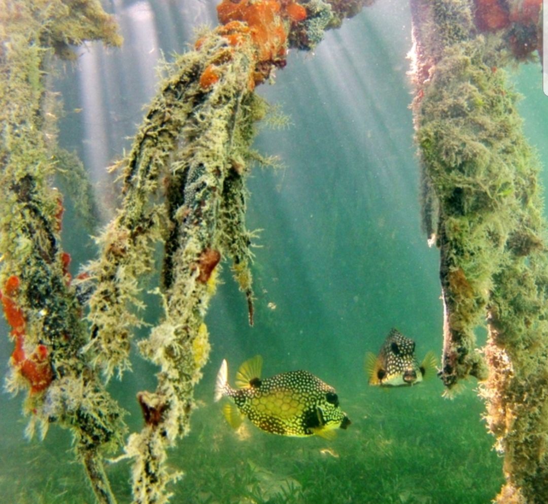 Image by ‘Windows to the sea’