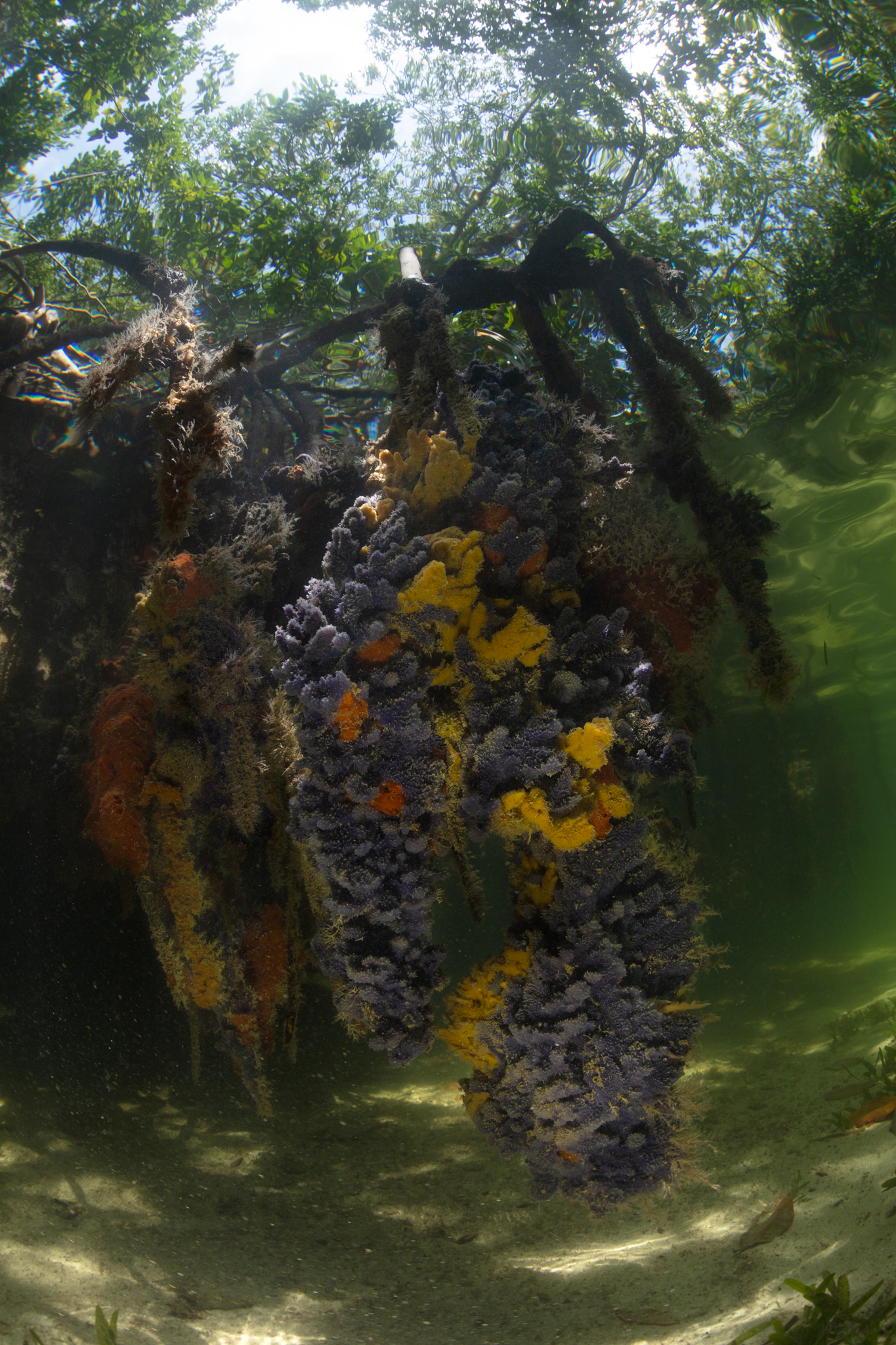 Image by ‘Windows to the sea’