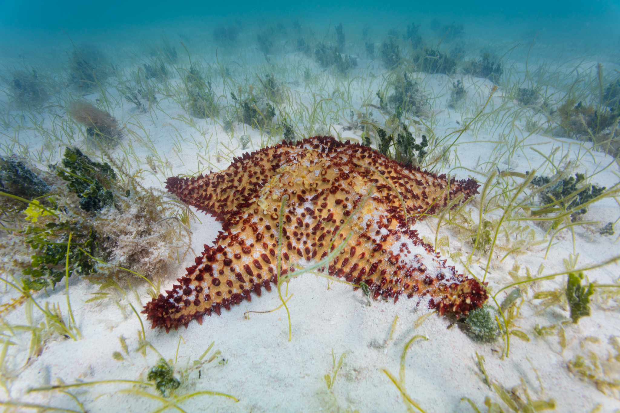 Image by ‘Windows to the sea’