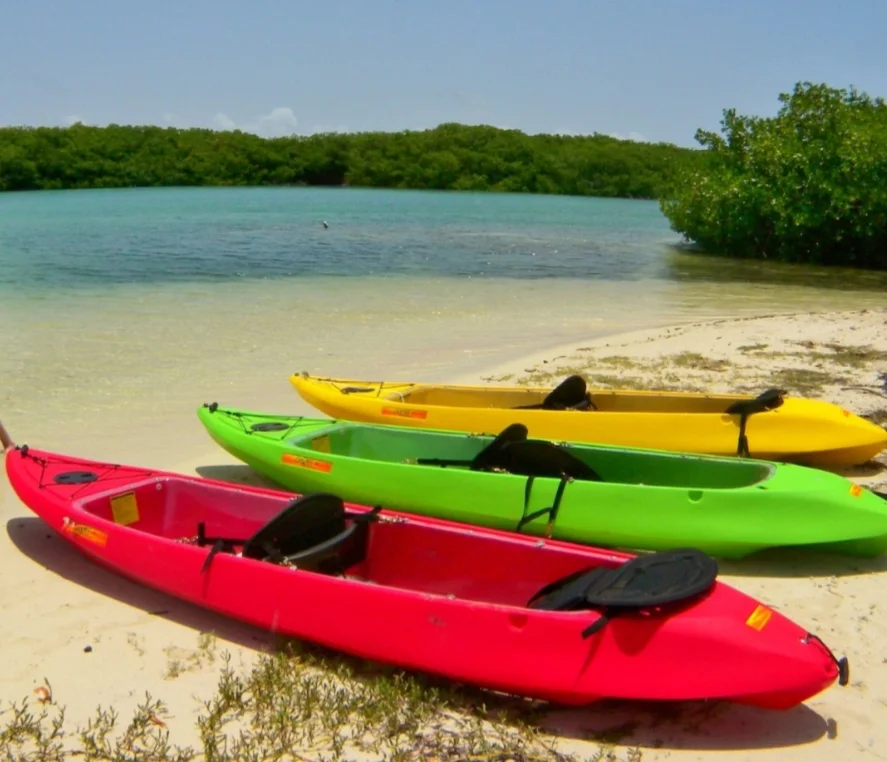 Kayaking in the Mangroves of Bonaire- Image by Windows to the sea.