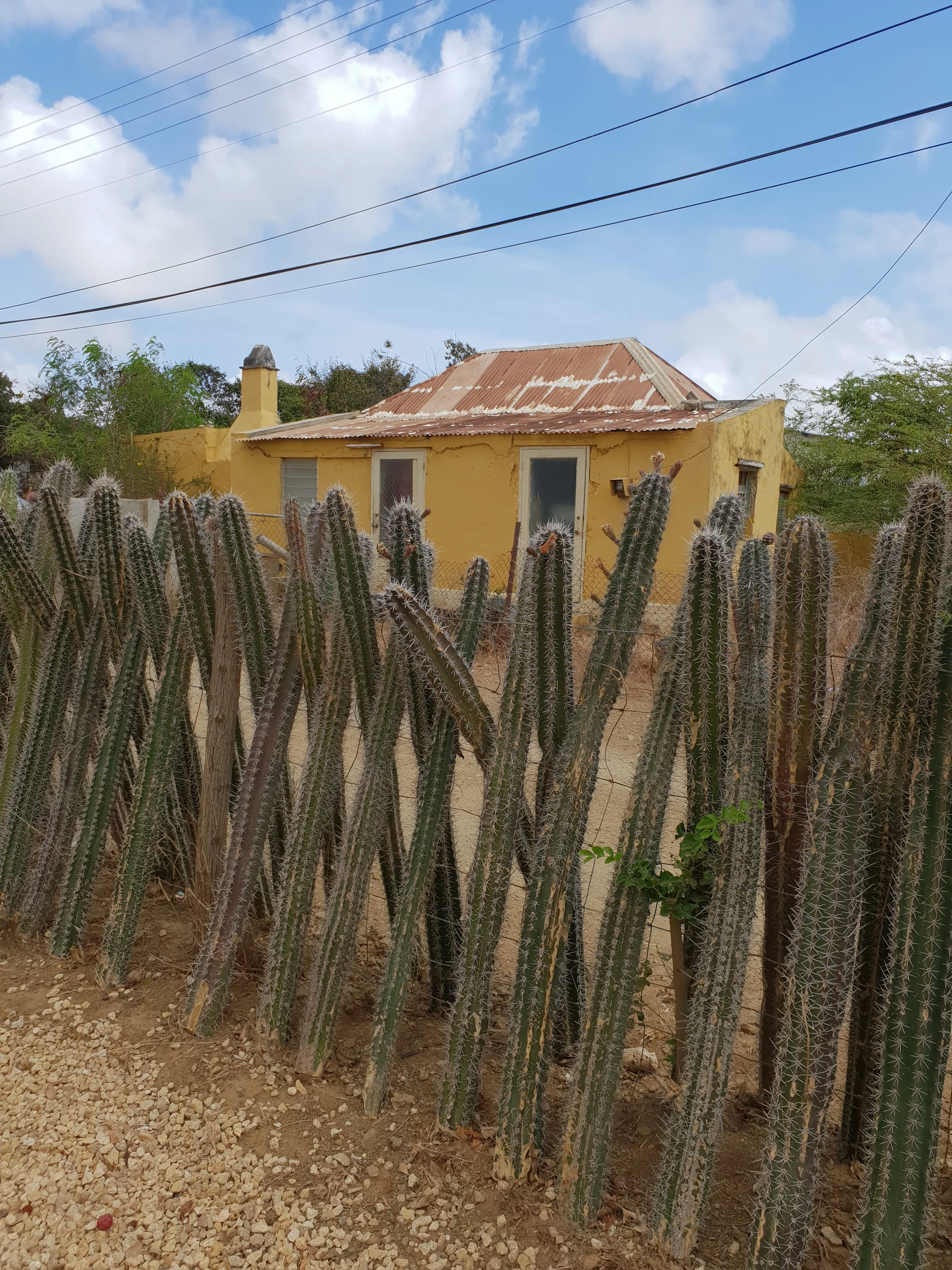 Rincon- The color yellow stands for happiness!