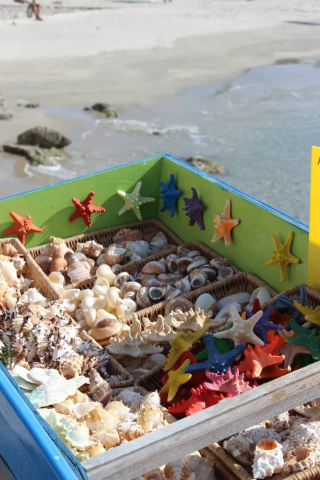 On the shores of the Greek island of kos