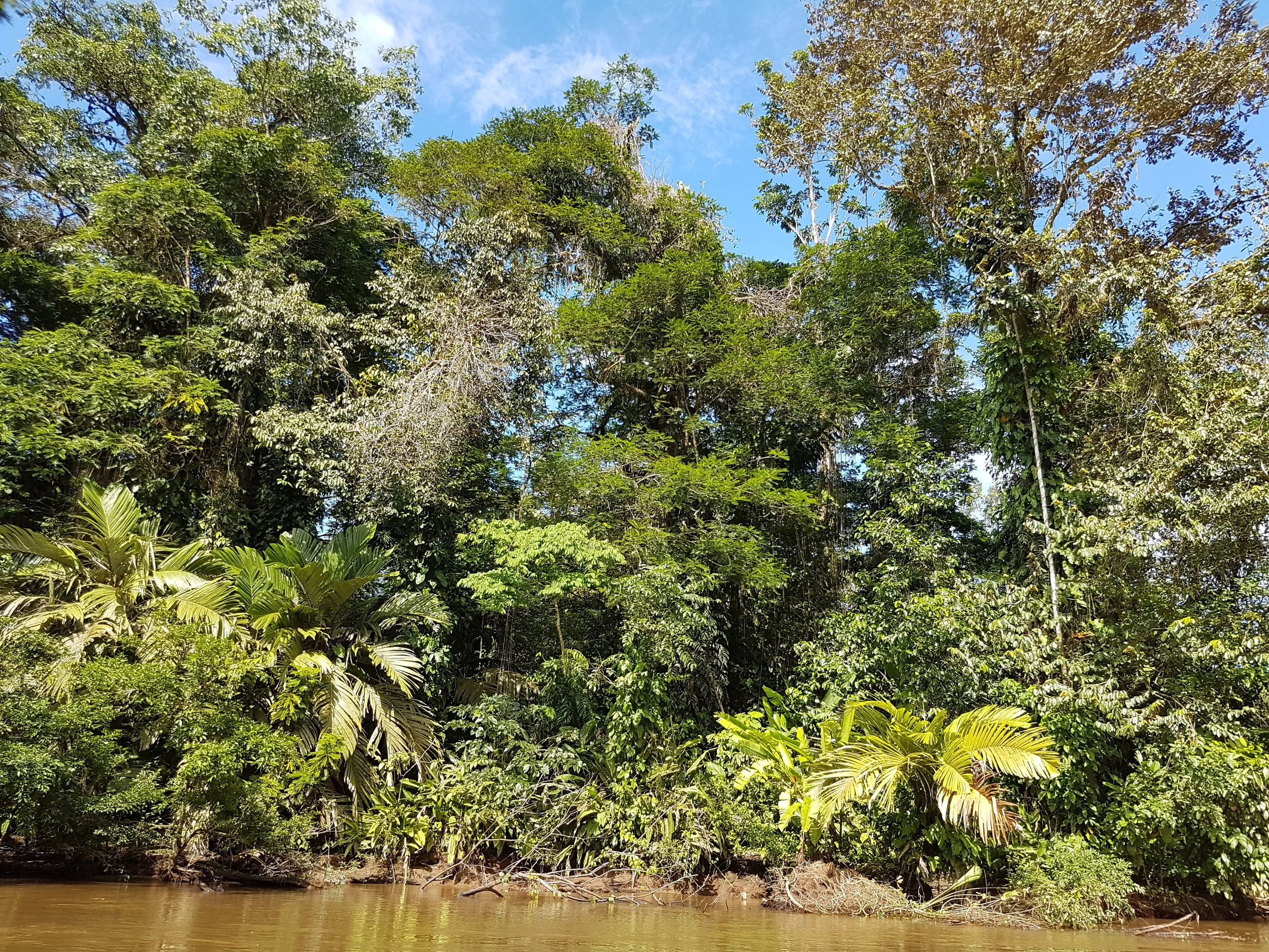 Tortuguero Costa Rica