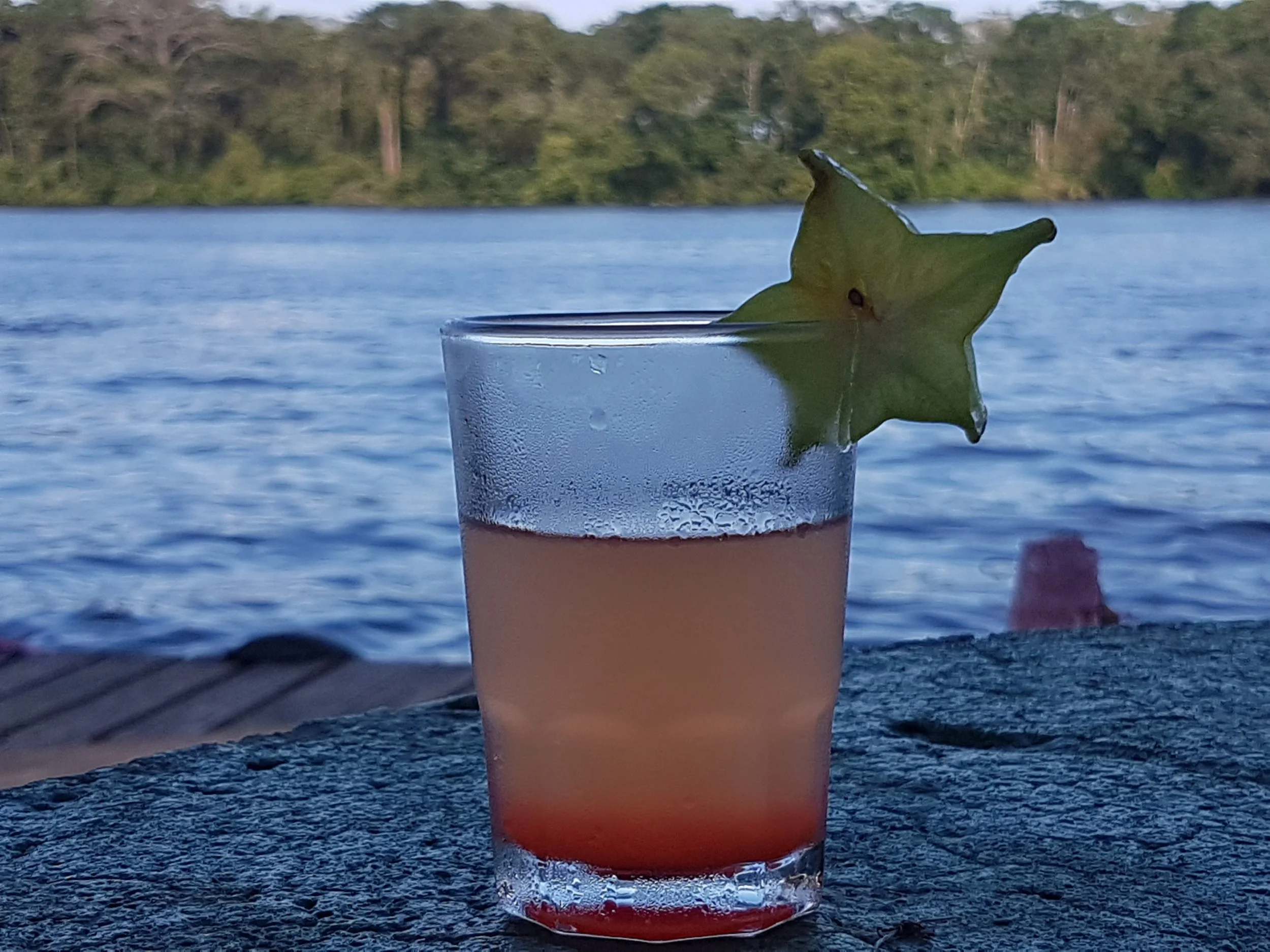 Tropical drinks with rain forest views in Tortuguero