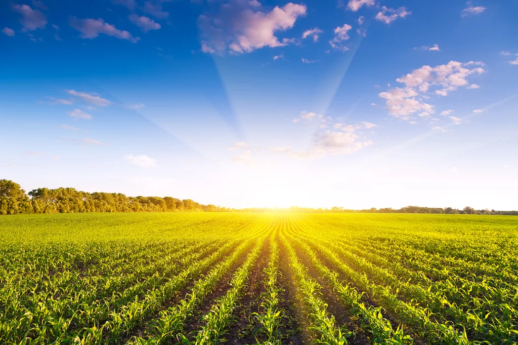 farmland.jpg
