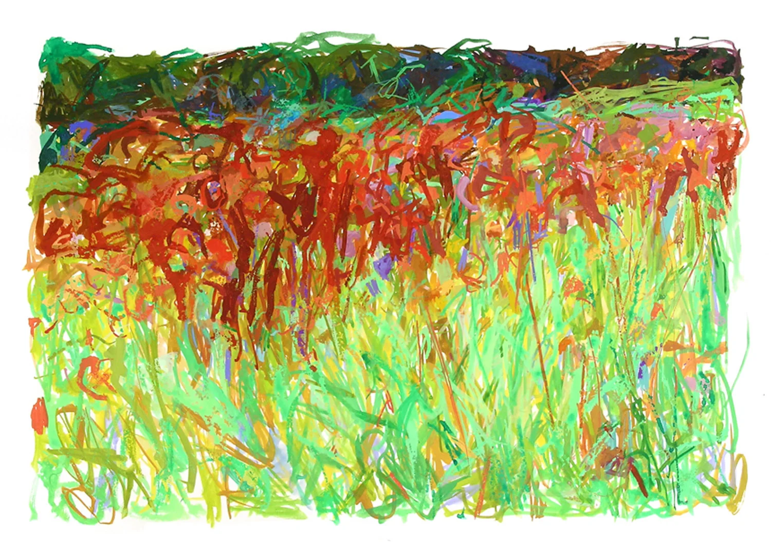 gaillardia copy.jpg