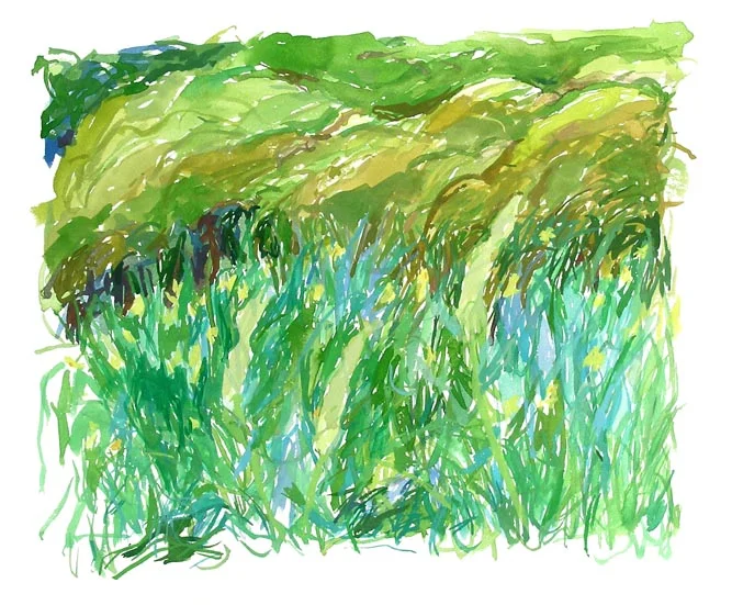 Fritillaria copy.jpg