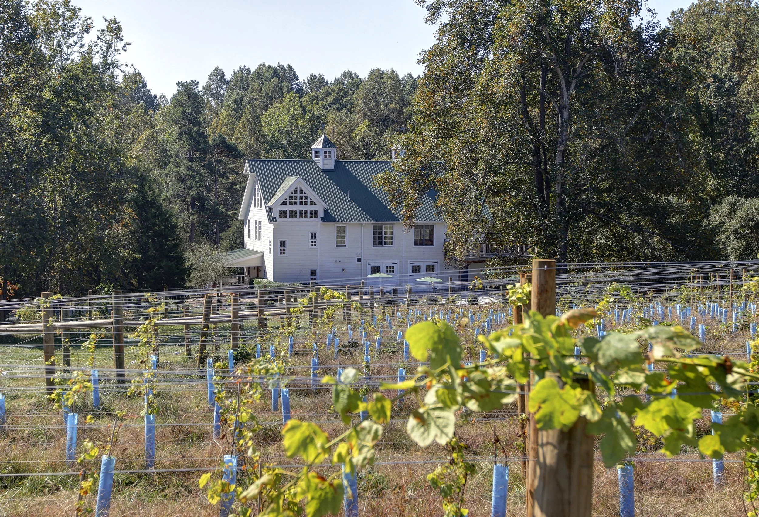 2013_Merriwether Springs280.JPG