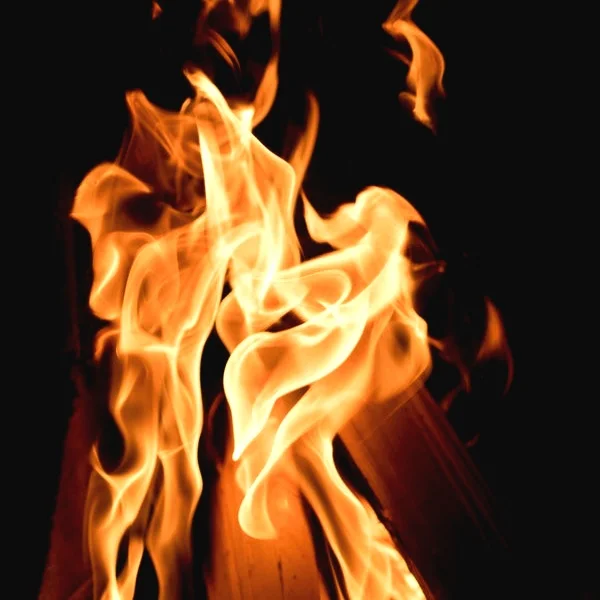 evolution+natures+trial+by+fire.jpg